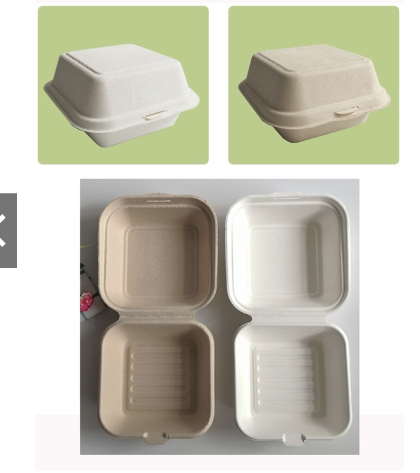 10PCS Disposable Bento Lunch Box Baking Cake Food Containers